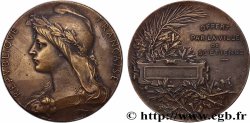 TERZA REPUBBLICA FRANCESE Médaille, Offert par la ville