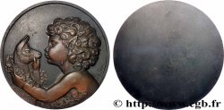 V REPUBLIC Imposante médaille, Faune à l’antilope AU