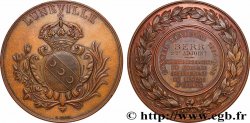 III REPUBLIC Médaille, Conseil municipal, agrandissement du collège AU