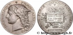 III REPUBLIC Médaille, Conseil municipal AU/AU