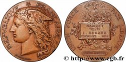 III REPUBLIC Médaille, Conseil municipal AU/AU