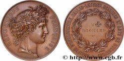 TROISIÈME RÉPUBLIQUE Médaille, Société d’agriculture, sciences, arts et belles-lettres