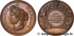 SOCIÉTÉS D&nbsp;AGRICULTURE, HORTICULTURE, PÊCHE ET CHASSE Médaille, Société d’encouragement à l’agriculture
