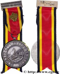 SUIZA - CANTÓN DE VAUD Médaille, Marche de Rutli