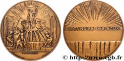 TROISIÈME RÉPUBLIQUE Médaille, Société lyonnaise des eaux