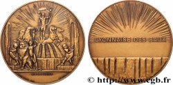 III REPUBLIC Médaille, Société lyonnaise des eaux