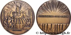 III REPUBLIC Médaille, Société lyonnaise des eaux