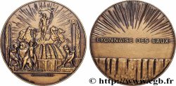 III REPUBLIC Médaille, Société lyonnaise des eaux