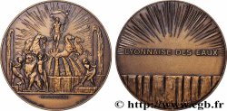 III REPUBLIC Médaille, Société lyonnaise des eaux