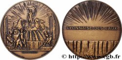 DRITTE FRANZOSISCHE REPUBLIK Médaille, Société lyonnaise des eaux