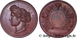 SOCIÉTÉS D&nbsp;AGRICULTURE, HORTICULTURE, PÈCHE ET CHASSE Médaille, Comice Agricole