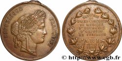 DRITTE FRANZOSISCHE REPUBLIK Médaille, Souvenir du grand concours de musique
