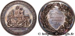 GREAT BRITAIN - VICTORIA Médaille, Société pour l’encouragement aux Beaux-arts