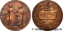 III REPUBLIC Médaille, Concours de prime d’honneur Vienne