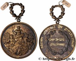 TROISIÈME RÉPUBLIQUE Médaille, Comice agricole de Juzennecourt