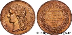 III REPUBLIC Médaille, Exposition universelle de Paris