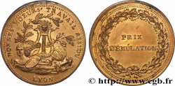 DIRECTOIRE Médaille, Prix d’émulation, Bonnes moeurs AU