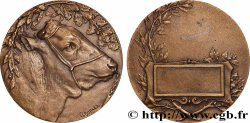 SOCIÉTÉS D&nbsp;AGRICULTURE, HORTICULTURE, PÈCHE ET CHASSE Médaille, Boeuf