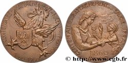 V REPUBLIC Médaille, Centenaire du rattachement de Nice et de la Savoie à la France