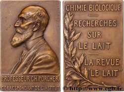 III REPUBLIC Plaquette, Professeur Charles Porcher