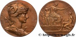 III REPUBLIC Médaille, Exposition universelle