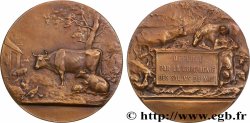 III REPUBLIC Médaille, Compagnie des salins du midi