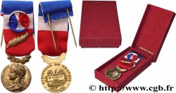 V REPUBLIC Médaille d’honneur du travail, Ministère du travail, Or