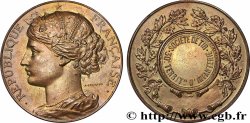 TIR ET ARQUEBUSE Médaille, Société de Tir