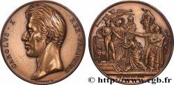 CHARLES X Médaille, Avènement au trône du roi Charles X, refrappe
