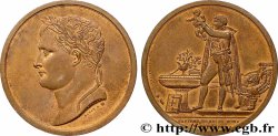 NAPOLEON&nbsp;S EMPIRE Médaille, Baptême du roi de Rome, refrappe