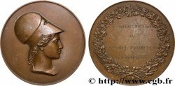 FUNFTE FRANZOSISCHE REPUBLIK Médaille, Minerve, Membre de l’Institut de France