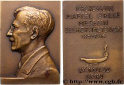 SCIENCES & SCIENTIFIQUES Plaquette, Professeur Marcel Brulé, commémoration de son décès