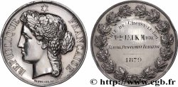 III REPUBLIC Médaille, Récompense, dévouement fraternel