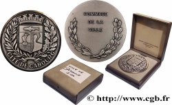 V REPUBLIC Médaille, Hommage de la ville