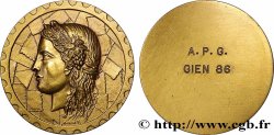 V REPUBLIC Médaille de récompense