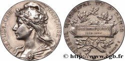 III REPUBLIC Médaille, Conseil municipal