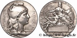 III REPUBLIC Médaille, Conseil municipal