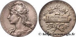 III REPUBLIC Médaille, Conseil municipal