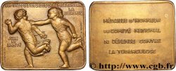 III REPUBLIC Plaquette, Défense contre la Tuberculose