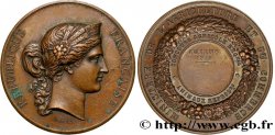 TROISIÈME RÉPUBLIQUE Médaille de concours agricole