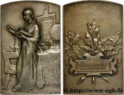 TROISIÈME RÉPUBLIQUE Plaque, Palais de la nouveauté TTB+