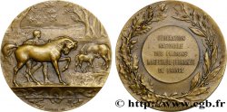 TROISIÈME RÉPUBLIQUE Médaille de Maréchal Ferrand