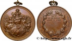 TROISIÈME RÉPUBLIQUE Médaille de comice agricole - Baron de Mackau