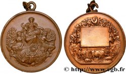 TERZA REPUBBLICA FRANCESE Médaille agricole