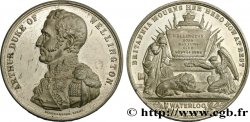 GREAT BRITAIN - VICTORIA Médaille, Duc de Wellington