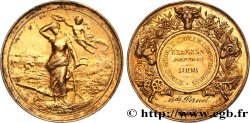 TERZA REPUBBLICA FRANCESE Médaille du Syndicat agricole