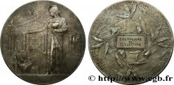 TERZA REPUBBLICA FRANCESE Médaille de reconnaissance aux donateurs
