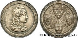 III REPUBLIC Médaille, Hygiène et Santé publique