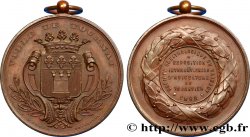 BELGIQUE - ROYAUME DE BELGIQUE - LÉOPOLD II Médaille de la Société ornithologique du Hainaut