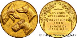 SPANIEN Médaille, Concours canin